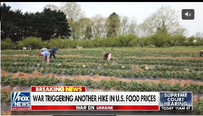 War in Ukraine threatens to blow US food costs sky high
